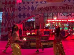 -灵玲国际马戏城