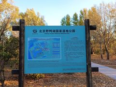 -野鸭湖国家湿地公园