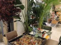 -PlantsEatery·植物食堂(REX春熙店)