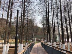 -月湖风景区