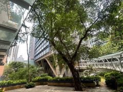 -香港大学