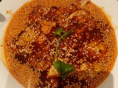 -蜀都丰 正宗水煮鱼(建德天城店)