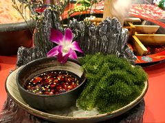 海葡萄-巴九门老火锅(来福士打望店)