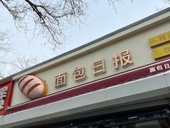-面包日报