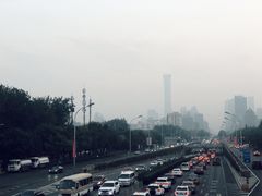 -三里屯东五街银杏大道
