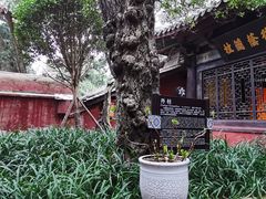-七曲山风景区