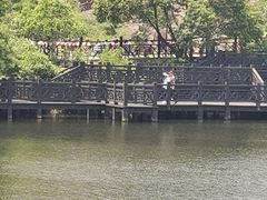 -白马涧龙池景区