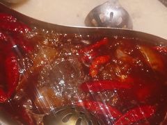 -麻田会 ·鲜活现烹·牛蛙火锅(珠江新城维家思广场店)