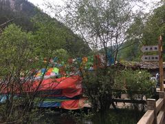 -九寨沟-树正沟