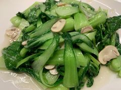 -枣子树·素食餐厅(朱家尖店)