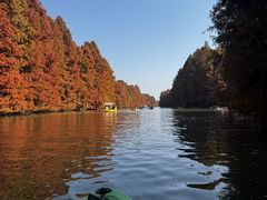 -上海海湾国家森林公园