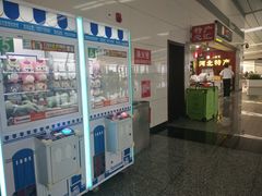 -石家庄正定国际机场-T2航站楼