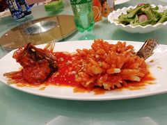-同济大酒店(绿宝广场店)