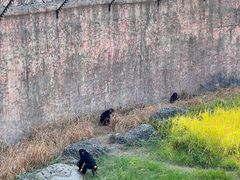 -南昌动物园