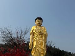 -冶父山国家森林公园