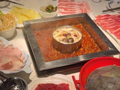 -二荆条·蜀鲜汇城市森林火锅