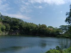 -王借岗森林公园