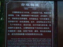 -洪泽湖古堰景区