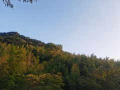 -鸡枕山