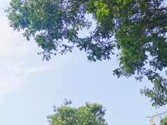 -终南山古楼观历史文化景区