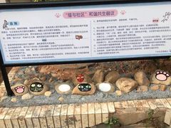 -猫咪博物馆(顶澳仔猫街店)