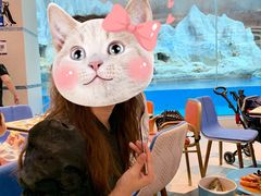 -帝企鹅自助餐厅•儿童岛•真企鹅(长隆企鹅酒店)