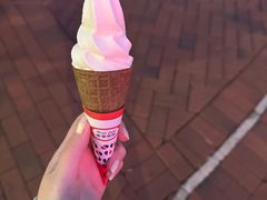-富豪雪糕车流动点(尖沙咀店)