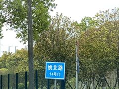 -九科绿洲