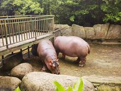 -宁波野生动物园