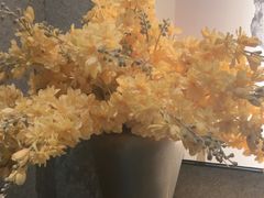 -新紫霞养生·影院足道·SPA(金山区店)