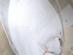 -桃源市场(解放路店)