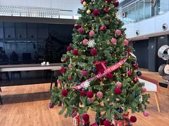 -奔驰上海利星(七宝店)