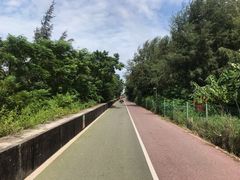 -北海金海湾红树林生态旅游区