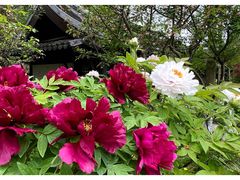 -狼山风景名胜区