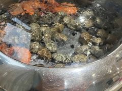 -海大大蒸汽海鲜餐厅·粤菜·特色小炒(欢乐颂店)