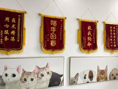 -爱侣宠医·鹦鹉专科·小型哺乳类·异宠专科(灵石路店)