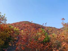-周口店坡峰岭风景区