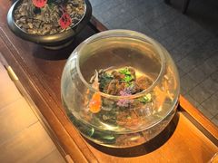 -300杯·和牛烧肉清酒专门店(廊里店)