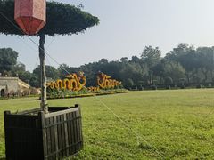 -圣约瑟夫大教堂