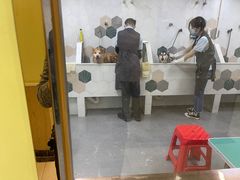 -瑞鹏宠物医院·骨科·猫科·内科(第一中心)