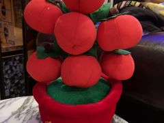 -GalaCity上海歌城(杨浦百联店)