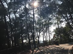 -三门江国家森林公园