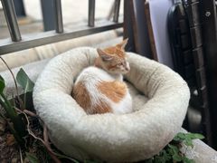 -转山咖啡(松柏社区店)