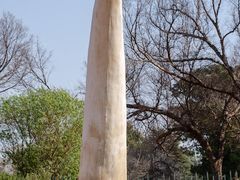 -维乐口腔医院(福清院)