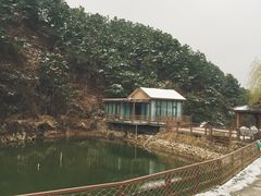 -欢乐松鼠谷