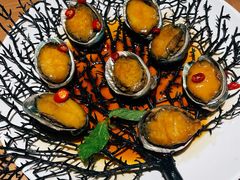 秘制腌鲍鱼-波螺油子·海肠捞饭·青岛菜(银座店)