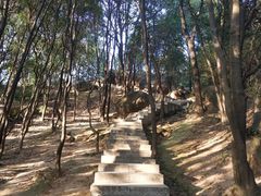 -火炉山森林公园