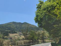 -紫鹊界梯田景区