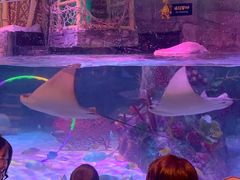 -沈阳海洋探索中心