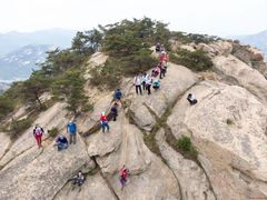 -无染寺